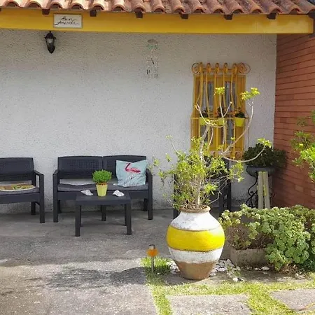 Casa Amarela * Эшмориш