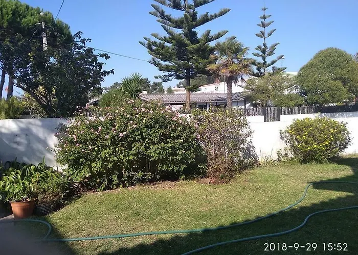 Проживание в семье Casa Amarela *